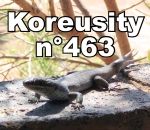 koreusity compilation janvier Koreusity n°463