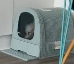 coince chat Un chat sort de sa caisse à litière