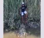 face-a-face Un homme coincé face à un crocodile