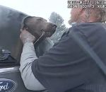 chien sauvetage Un policier sauve un chien d'un véhicule en feu