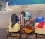 equateur piscine Une otarie vole le transat d'un client d'un hôtel
