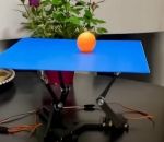ping-pong Plateau robotisé