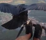 oiseau parapente Voler en parapente avec un vautour