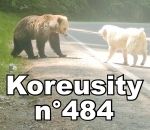 koreusity juillet compilation Koreusity n°484