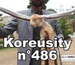 koreusity compilation aout Koreusity n°486