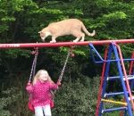 enfant Un chat en équilibre sur une balançoire