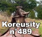 koreusity compilation septembre Koreusity n°489
