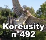 koreusity compilation septembre Koreusity n°492
