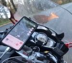 etats-unis Moto à 87 km/h vs Biche
