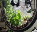 velo roue Un serpent fait du vélo d'appartement