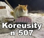 koreusity compilation janvier Koreusity n°507