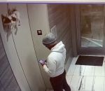 telephone homme Un chien suspendu à un ascenseur