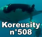 koreusity compilation fevrier Koreusity n°508