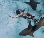 main morsure Nager avec les requins #FAIL