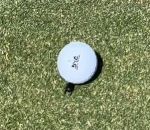 golf Un bousier pousse une balle de golf