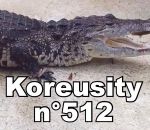 koreusity compilation mars Koreusity n°512