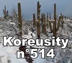 compilation Koreusity n°514
