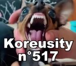 koreusity compilation mai Koreusity n°517