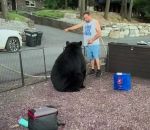 sortir Mike dégage un ours du campement