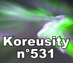 compilation web Koreusity n°531