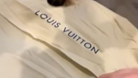 Perrita millonaria recibe lujoso regalo Louis Vuitton desde París