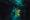 ipfs QmNVad3NjB4xRF9ZQpecJcYpR5T6t4DcMubbRUChep2d1R