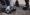 ipfs QmNWGwrQZWBykMtRVYPyjXVYNyn7rJ4wTDC7BaRvgk2tnS