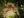 ipfs QmNgh2Q97CKZpQxHHhTsuTeTDwyu8bgrAas4zm9R657DQ5