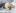 ipfs QmP7NKWcR6PhRo2zqv74rchFss9PGUjzfrM3voau6ikyAi