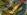 ipfs QmPDBWUALHVKGP1EwgKoQKPDimk4ynF6R5sbz5tZet9Wxb