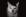 ipfs QmPDKqrpijmzEjePze5vF3whchV6WfzkvaYZV8hMYLMAkV