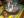 ipfs QmPKJaxDUpiLEJuV5bJFhoBUe1BPRFiiec4Naoy5qBraBY