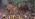 ipfs QmPasmo3XSqAG2X9g1JNM7gvQbeSy4TZQJ27R3drrgQEq9