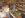 ipfs QmPcVjZa1WAGHcEwSZJx1LKiSgCqPHqbuC6P25oENFPK6b