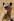 ipfs QmQ1PECPBmu6DjqAxaqQx6cxP7JRKbNCvxKiZxmJgNeHv3
