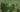 ipfs QmQJ3saamuHMhKJjFcdxyuMHDGwAVt3UNVo5Jo7hJ66PeP
