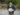 ipfs QmQYZ7X86Hs4XwXPMJNXoR84tpy8Z2ZAHimZSbpds1HYTH