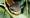 ipfs QmQgtb1ew8ZnNq3Yvv98yD22WtGfha2iSeVJoszoiXzT5Y