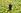 ipfs QmR3Z4SZ376tGp8Ke7p6c5wCJ6MdQdKTvqyRPqETzBLQDw