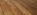 ipfs QmR41ZbHBT7ceV5K6zP8bFKHxUkWyk4czo1oTTAfMPztBK