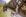 ipfs QmR8BqwYn6aDEiNGh86FLWHXZBhmmcmKR4tyhCcdZAmSLv