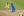 ipfs QmRKsNp69awDDDw1TH8quF7TVLgKZNp2heNp7dVp6UveBa