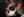 ipfs QmRsSncb1aei4NABNek5B6bbCQSUTmtFKda1ZXWhUcXgPw