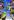 ipfs QmSdebf5K86hLeFftvEDcU38NjDLHw6U2gHi8mBGi5Lgbf