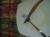 ipfs QmT4P94q4zA4qWtWB9eG87aWmYHSAhpspdHEPM9vBKjqxW