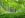 ipfs QmT9KWTubcs7wWaUj2RxpjoQDsjBPj9bUQgHsiNCh1NttJ