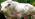 ipfs QmTFcFRt2rtYgzVNTx6jFVk4mJqNzfyQPiNvXt3kAg5A4f