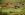 ipfs QmTMf8mVyt1V1LdWKn99mCGrZ2yFSd9EFF1tP2kQPintV3