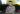 ipfs QmTQusdqwJNYZs97wBnpPWkoSkk6FCwyCGiGb3YJS4WoSF