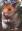 ipfs QmTdQFgFq4yNDuxSFEhg1BfUJFJR4qJoCmAdn8FT1vp3WC